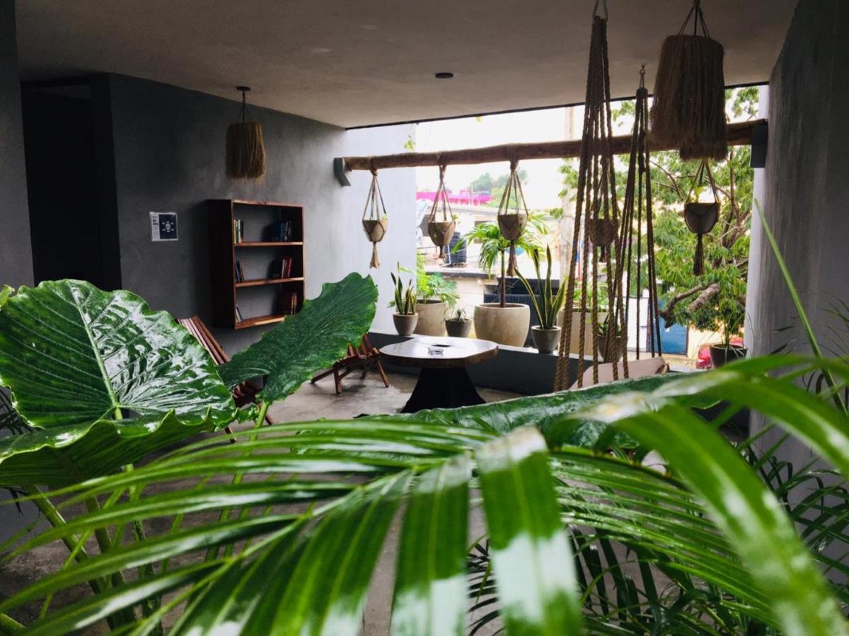 Ariche Tulum Hotel & Hostal エクステリア 写真