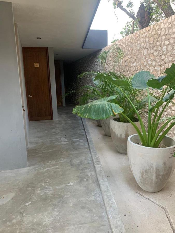 Ariche Tulum Hotel & Hostal エクステリア 写真